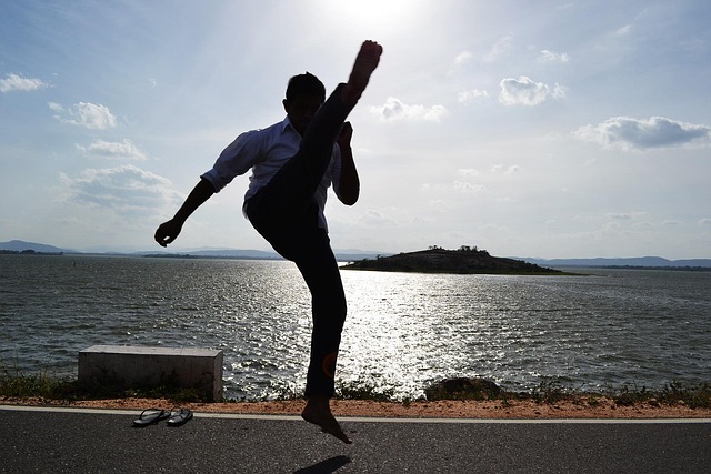 kick, martial arts, warrior, crecent kick, jump, boy, fight, fighter, action, kicking, sport, karate, kung fu, win chun, sri lanka, mawanella, polonnaruwa, ceylon, kick, kick, kick, martial arts, martial arts, martial arts, martial arts, martial arts, fight, karate, karate, karate, karate, kung fu