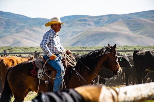 A cowboy wearing a hat rides a horse in a rural ranch setting with a herd of cattle.